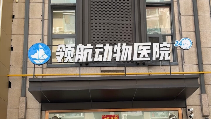 Chúng tôi là bệnh viện thú cưng nghiêm túc, đừng để "Potato Jie" dẫn dắt sai hướng nhé~