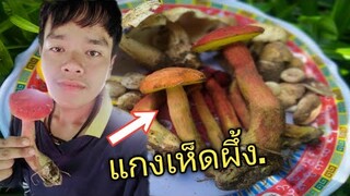 แกงเห็ดผึ้งดอกบักใหญ่! เมนูธรรมชาติ อร่อยเสย!!