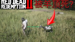 【荒野大镖客2】盘点游戏中7个奇奇葩葩的死法，被羊顶死????