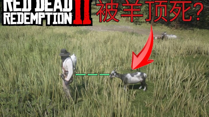[Red Dead Redemption 2] 7 วิธีตายแปลกๆ ในเกม เมื่อโดนแกะขวิดจนตาย?