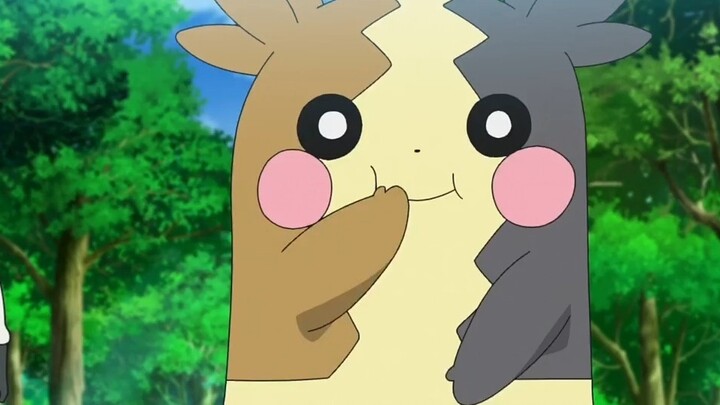 Meskipun aku serakah, aku sungguh menyukaimu!