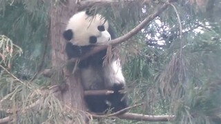 下雨天还不回家，在等谁呢？