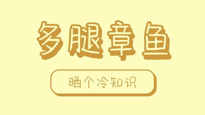 ชาวประมงเกาหลีพบปลาหมึกยักษ์ 32 ขา ญี่ปุ่นตอบ: ฉันเคยเจอตัวที่มี 96 ขาด้วยนะ