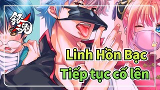 [Linh Hồn Bạc] Tiếp tục cố lên với Linh Hồn Bạc