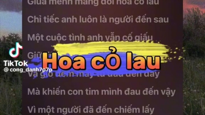 bài hát hoa cỏ lau