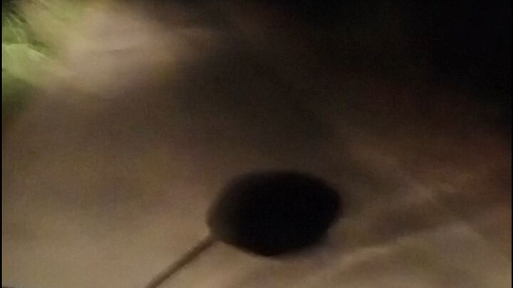 Jalan Jalan Malam...