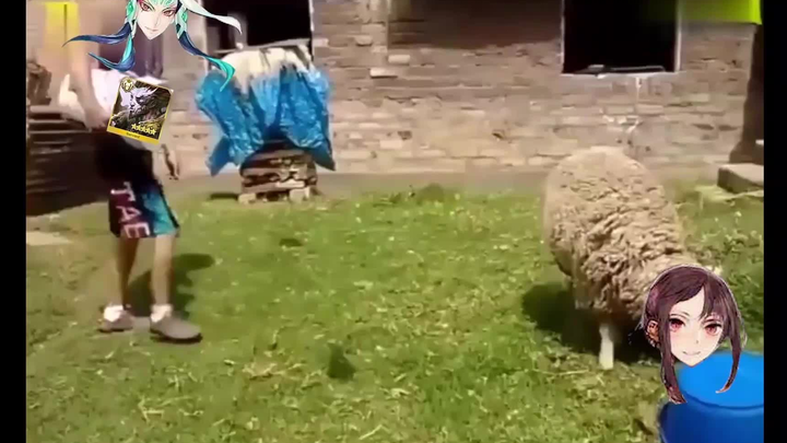 [FGO] A Beauty Under the Crimson Moon