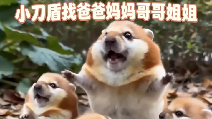 My sword-and-shield team is recruiting moms, dads, older brothers, and older sisters!