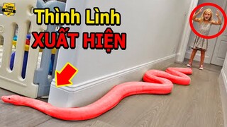 🔴Khóc Thét Với Những Nơi Trú Ẩn Không Ngờ Của Loài Rắn Khiến Hàng Triệu Người Kinh Hãi