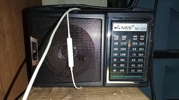 106.1 MHz Mix FM Tacloban Station ID and Stinger