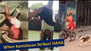 funniest memes & fails!