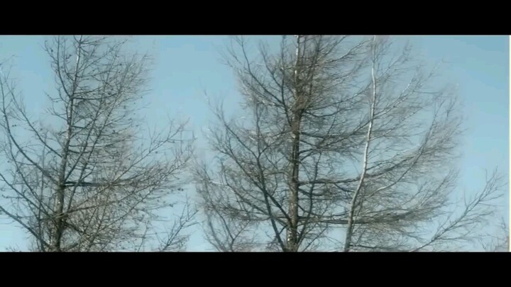Snow in Sea Breeze Korean Tagalog Dub Movie Flex 🇵🇭🇰🇷💪🏻