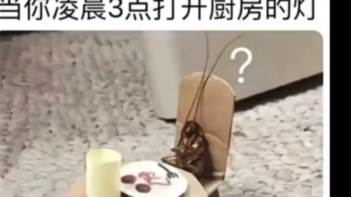 ملفات الميمز السخيفة التي تُضحكك حتى الموت