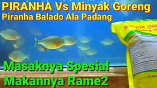 PIRANHA Vs Minyak Goreng - Piranha Goreng Balado Ala Padang