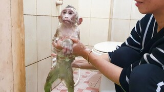 OMG! Sono Open Big Eyes During Mom Cleaning With The Shampoo