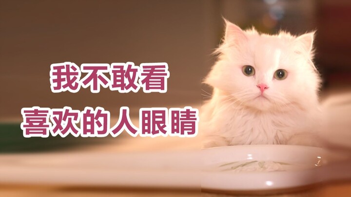 “He never looks you in the eye—not necessarily because he hates you, but maybe it’s love.”