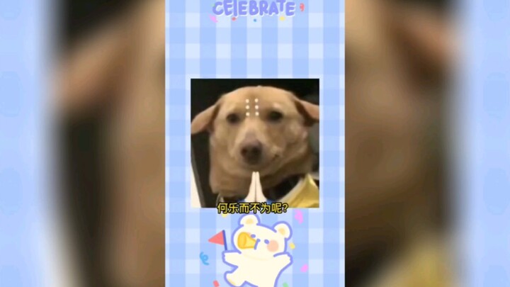 “Animal: I’ve met plenty of living bodhisattvas, but who’d have thought I’d run into a living Yama K