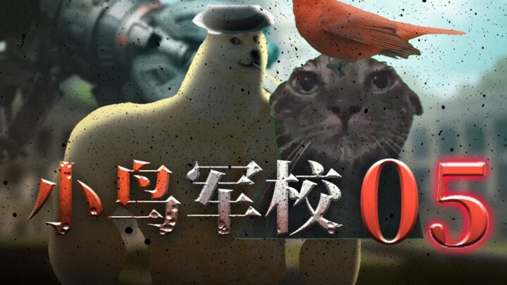 《小鸟军校》(5）——冷热之战！