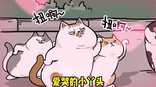 别emo，去找“凶恶猫猫组织”！