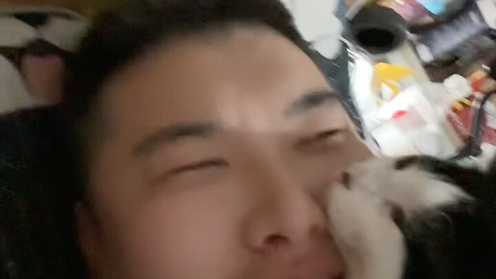 【يوميات الأمن – وحوش الاستدعاء】 أحدث مقطع فيديو متاح الآن، هيا شاهده على الفور!