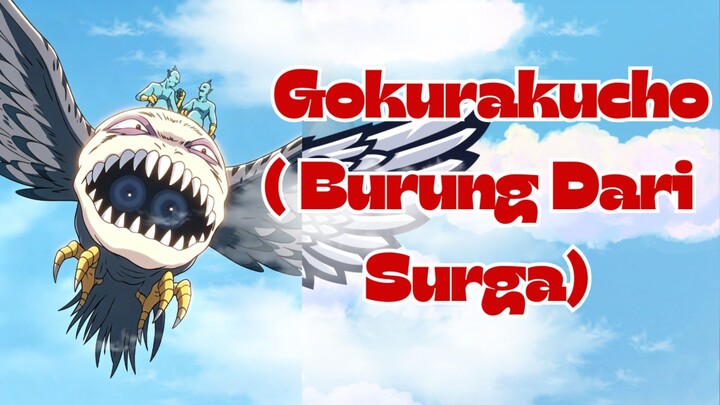 GOKURAKUCHO: Pemburu Serigala yang Menyeramkan! | 5 Fakta Menarik Burung Dari Surga !