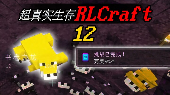 MC小包RLCraft：耗时6小时，培养出完美书卷之龙！EP12