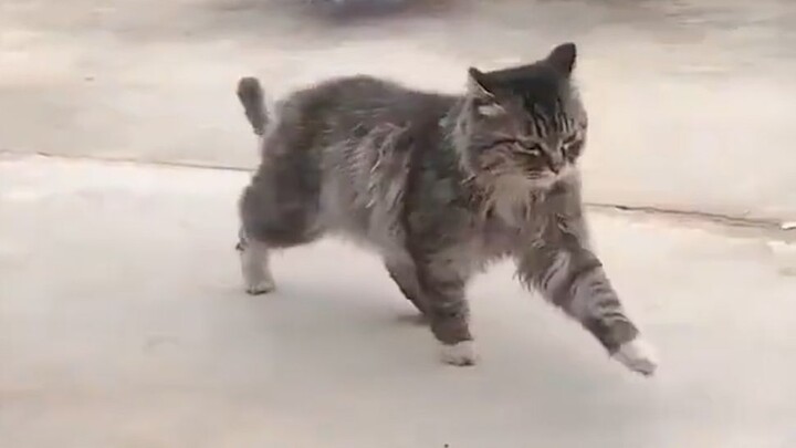 Melangkah dengan penuh semangat dan percaya diri