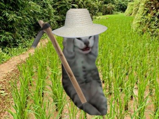 [Cat meme] Mình chơi Stardew Valley vì không có game nên bắt đầu làm farm mãi.