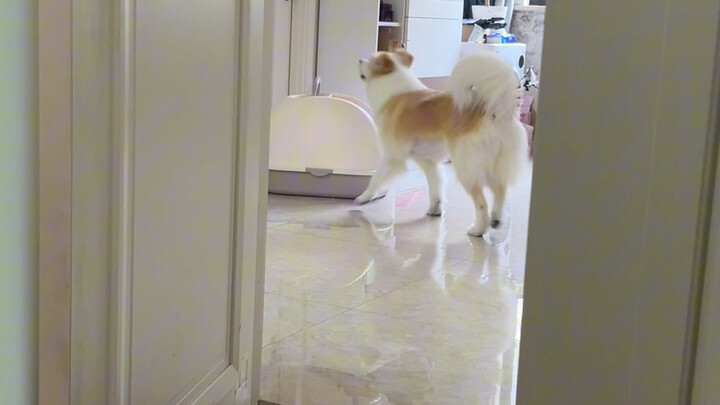 Close call—almost got super awkward!