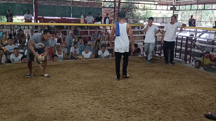 dehado