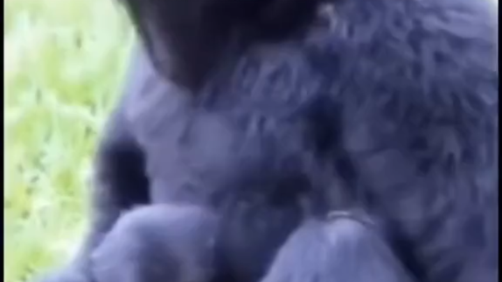 This girl seems to have found her own kind! 😂😂😂😂