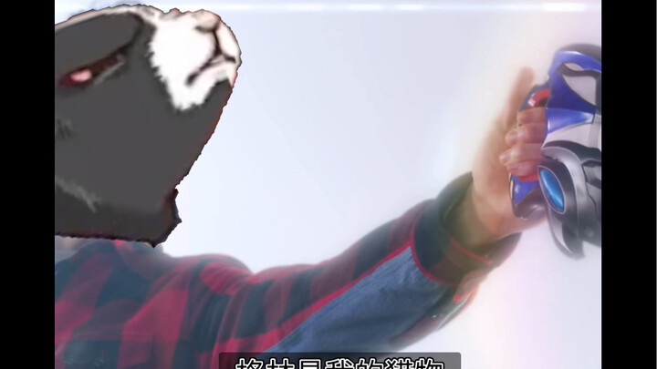 热心肠的兔前辈