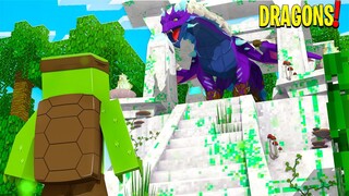 THE ELEMENTAL DRAGON TEMPLE! - Minecraft Dragons