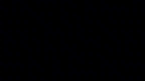 🌚