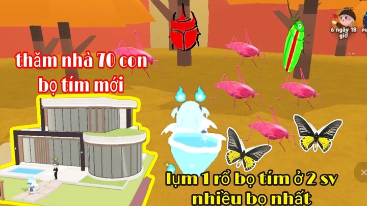 Play together: Bắt được cả rổ bọ tím mới ở hai sever nhiều bọ mà ít người biết