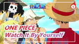 [ONE PIECE] Don't Ask Me If ONE PIECE Is Exciting - Watch It By Yourself_1