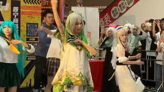 致歉一切……（相机吃妆 果咩内）