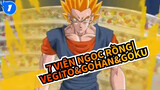 7 Viên Ngọc Rồng|【Đa vũ trụ Dragonball】Vegito&Gohan&Goku_1