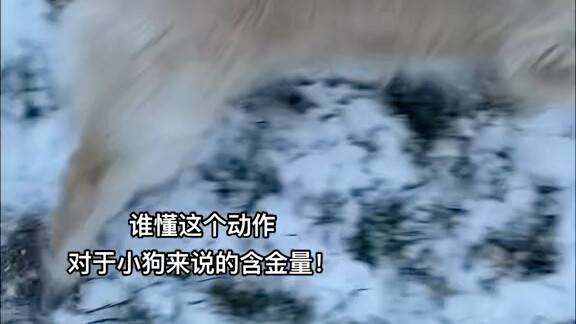 ใครเข้าใจบ้าง ความล้ำค่าของการเคลื่อนไหวนี้!