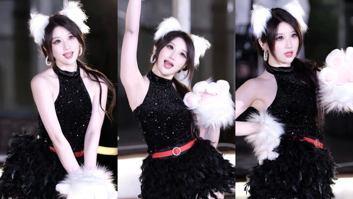 【Bo Peep Bo Peep】Here comes my mountain-king kitty!