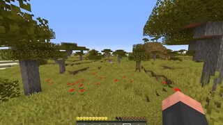 Minecraft, Nhưng Sở Hữu Trái Tim May Mắn