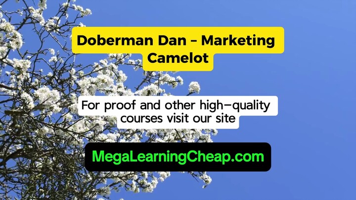 Doberman Dan – Marketing Camelot