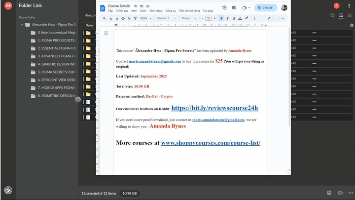 Alexunder Hess - Figma Pro Secrets
