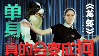 单身有大罪！直接分尸缝缝补补变成狗，奥斯卡提名的电影果然黑暗 | 《龙虾》