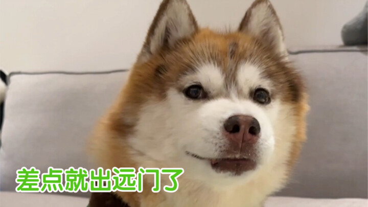 I knew I wouldn’t be able to leave the Yangtze River Delta so easily…