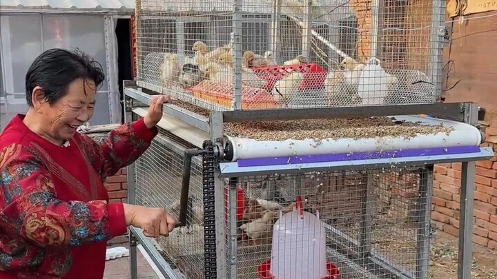 Check out the hand-crank manure-removal chicken coop I built for my maternal grandparents’ home.