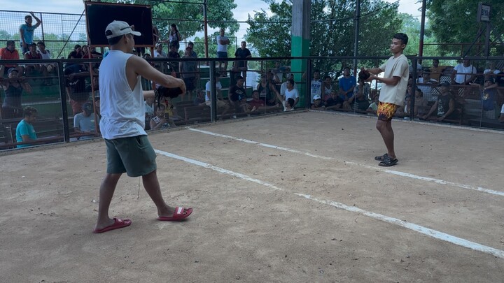 My 3/4 sbr 1/4 melaimsblack 8 months old W