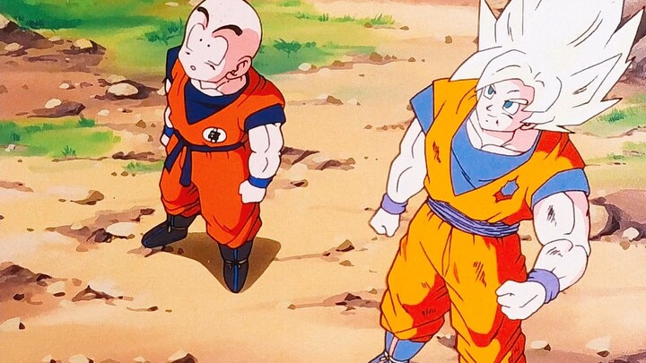 Scum Rot Outsmarts Shu