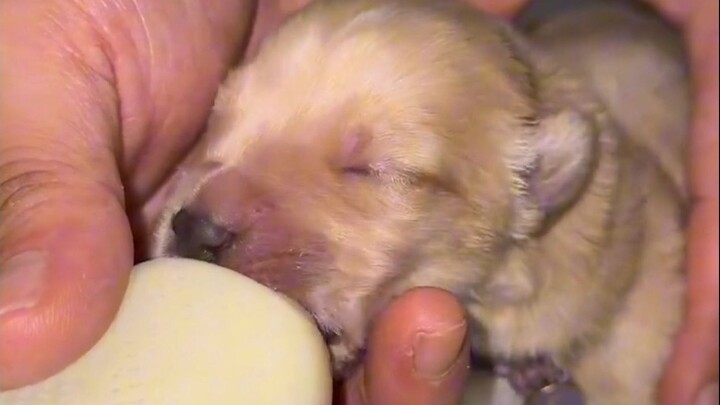 منتجات تنظيم الأسرة: لم أكن أتوقع يومًا أن أتمكن أنا أيضًا من حمل الحياة