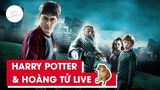 Recap Xàm #1: Harry Potter và Hoàng Tử Lai Chim